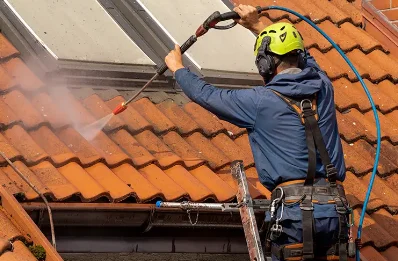 Démoussage et hydrofuge de toiture à Camalès